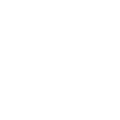Legacy United Insurance Agency